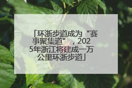 环浙步道成为“赛事聚集道”，2025年浙江将建成一万公里环浙步道