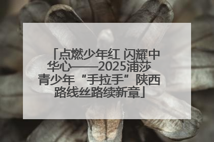 点燃少年红 闪耀中华心——2025浦莎青少年“手拉手”陕西路线丝路续新章