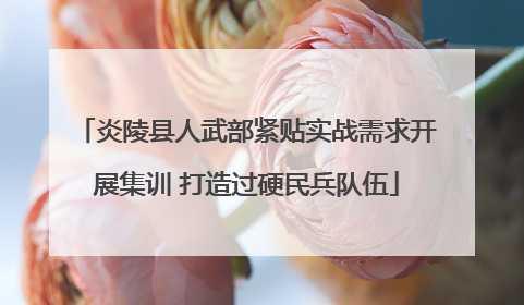 炎陵县人武部紧贴实战需求开展集训 打造过硬民兵队伍