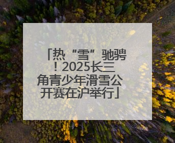 热“雪”驰骋！2025长三角青少年滑雪公开赛在沪举行