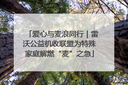 爱心与麦浪同行｜雷沃公益机收联盟为特殊家庭解燃“麦”之急