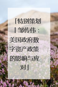 特别策划丨邹传伟：美国政府数字资产政策的影响与应对