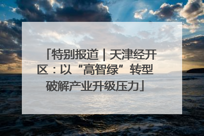 特别报道｜天津经开区：以“高智绿”转型破解产业升级压力