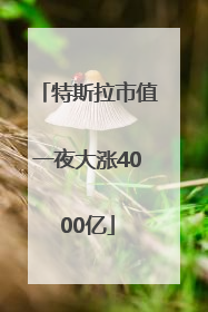 特斯拉市值一夜大涨4000亿