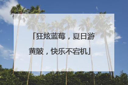 狂炫蓝莓，夏日游黄陂，快乐不宕机