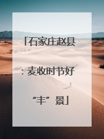 石家庄赵县：麦收时节好“丰”景