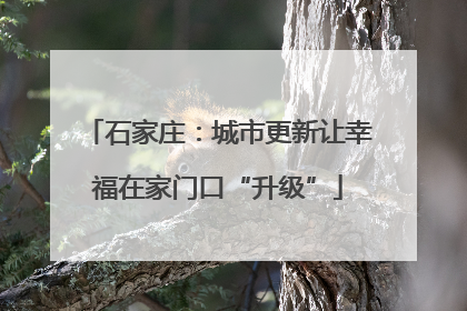 石家庄：城市更新让幸福在家门口“升级”