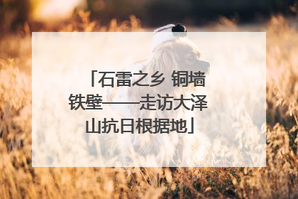 石雷之乡 铜墙铁壁——走访大泽山抗日根据地
