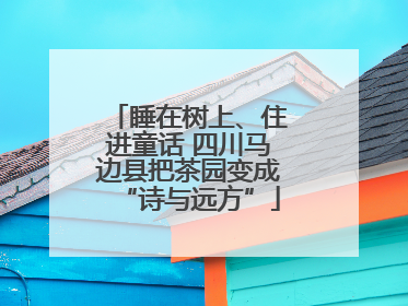 睡在树上、住进童话 四川马边县把茶园变成“诗与远方”