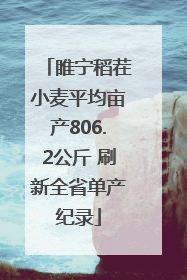 睢宁稻茬小麦平均亩产806.2公斤 刷新全省单产纪录
