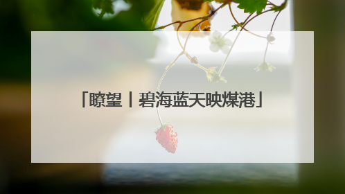 瞭望丨碧海蓝天映煤港