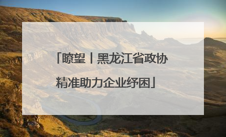 瞭望丨黑龙江省政协精准助力企业纾困