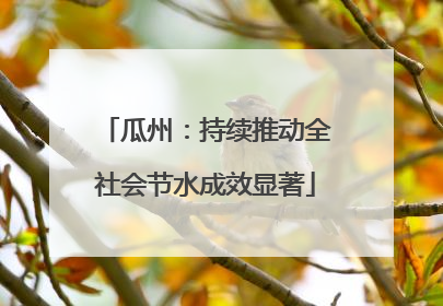 瓜州：持续推动全社会节水成效显著