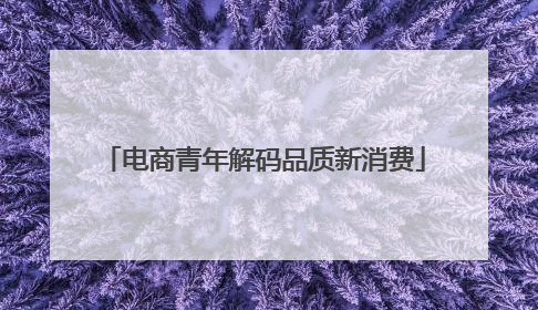 电商青年解码品质新消费