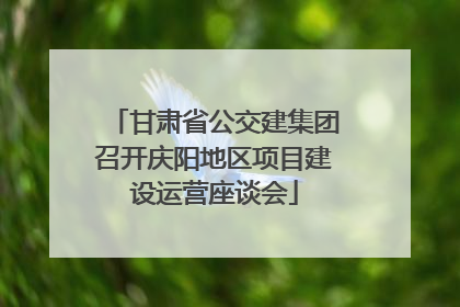 甘肃省公交建集团召开庆阳地区项目建设运营座谈会