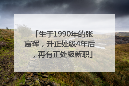 生于1990年的张宸珲，升正处级4年后，再有正处级新职
