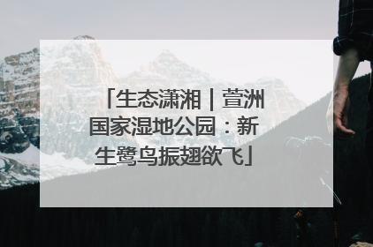 生态潇湘｜萱洲国家湿地公园：新生鹭鸟振翅欲飞
