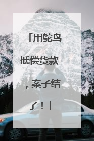 用鸵鸟抵偿货款，案子结了！