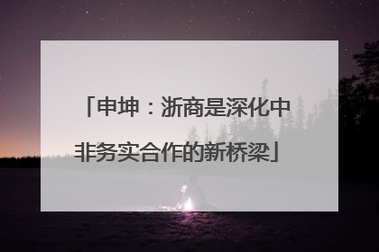 申坤：浙商是深化中非务实合作的新桥梁
