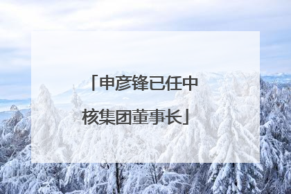 申彦锋已任中核集团董事长