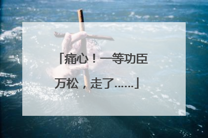 痛心！一等功臣万松，走了……