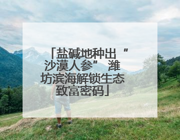 盐碱地种出“沙漠人参” 潍坊滨海解锁生态致富密码