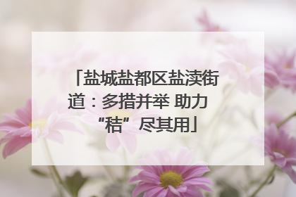 盐城盐都区盐渎街道：多措并举 助力“秸”尽其用