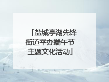 盐城亭湖先锋街道举办端午节主题文化活动