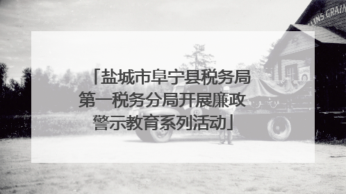 盐城市阜宁县税务局第一税务分局开展廉政警示教育系列活动