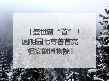 盛世聚“首”！圆明园七尊兽首亮相安徽博物院