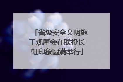 省级安全文明施工观摩会在联投长虹印象圆满举行