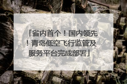 省内首个！国内领先！青岛低空飞行监管及服务平台完成部署