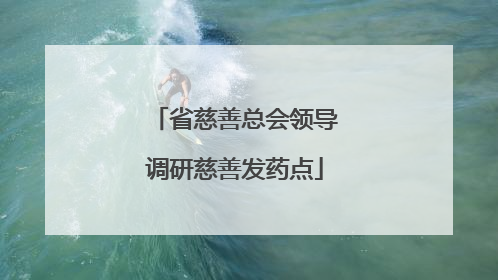 省慈善总会领导调研慈善发药点
