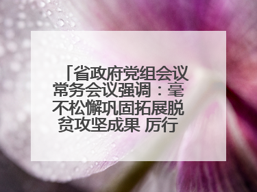 省政府党组会议常务会议强调：毫不松懈巩固拓展脱贫攻坚成果 厉行节约反对浪费弘扬优良作风
