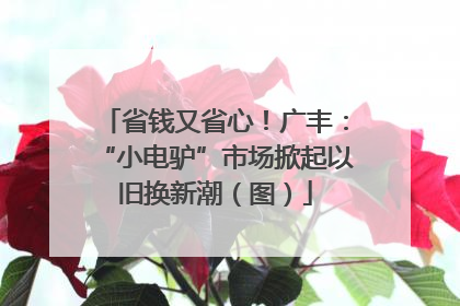 省钱又省心！广丰：“小电驴”市场掀起以旧换新潮（图）