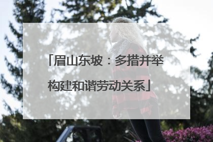 眉山东坡：多措并举构建和谐劳动关系