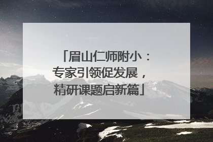 眉山仁师附小：专家引领促发展，精研课题启新篇
