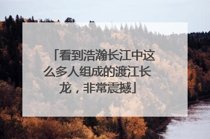 看到浩瀚长江中这么多人组成的渡江长龙，非常震撼