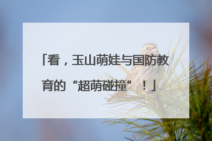 看，玉山萌娃与国防教育的“超萌碰撞”！