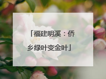 福建明溪：侨乡绿叶变金叶