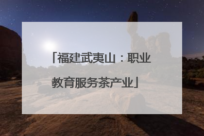 福建武夷山：职业教育服务茶产业