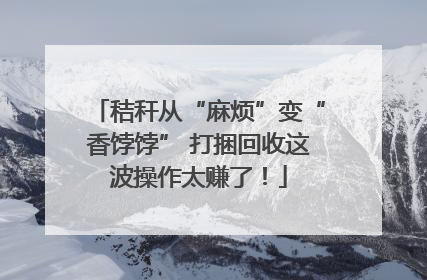秸秆从“麻烦”变“香饽饽” 打捆回收这波操作太赚了！