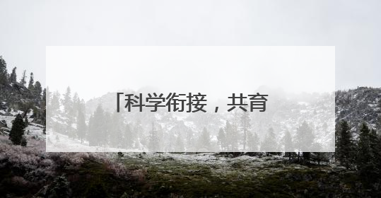 科学衔接，共育未来——北碚区龙凤教管中心开展幼小衔接交流活动