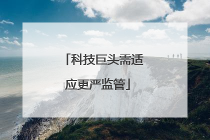 科技巨头需适应更严监管