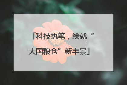 科技执笔，绘就“大国粮仓”新丰景