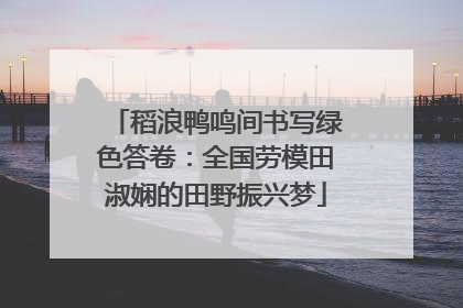 稻浪鸭鸣间书写绿色答卷：全国劳模田淑娴的田野振兴梦