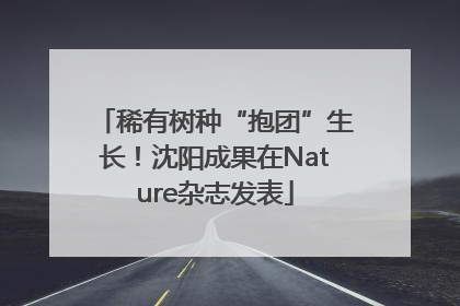 稀有树种“抱团”生长！沈阳成果在Nature杂志发表