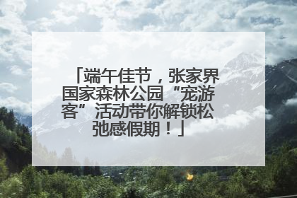 端午佳节，张家界国家森林公园“宠游客”活动带你解锁松弛感假期！