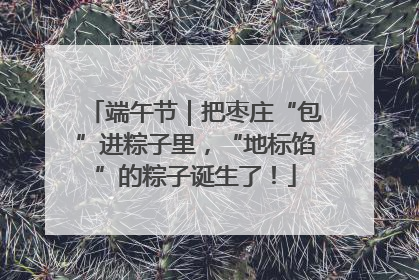 端午节｜把枣庄“包”进粽子里，“地标馅”的粽子诞生了！