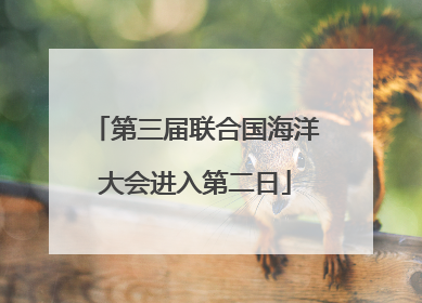 第三届联合国海洋大会进入第二日